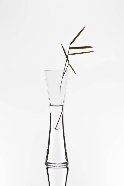bamboo von Christian Pabst