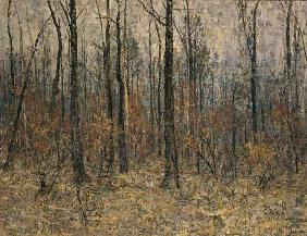 Waldinneres (Herbstwald) 1889