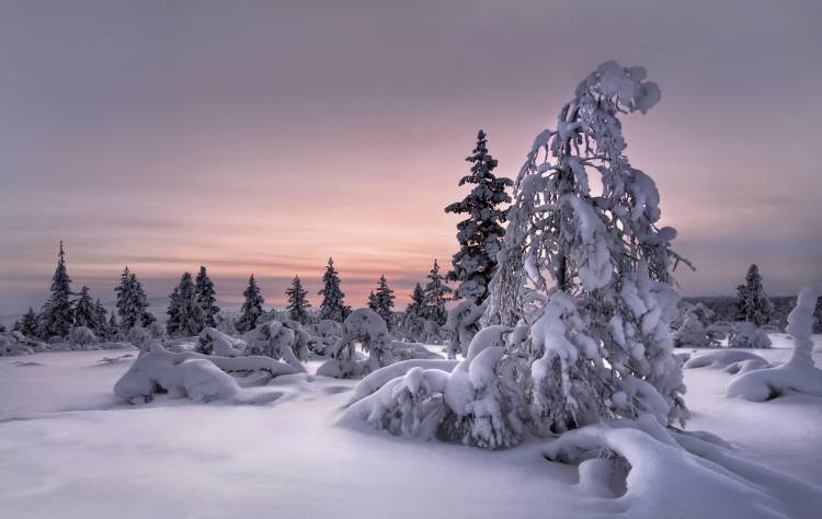 Lappland - winterwonderland von Christian Schweiger