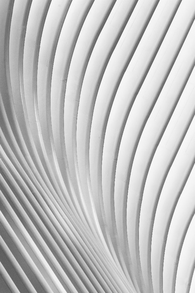 Calatrava-Linien von Christopher Budny