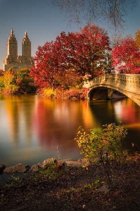 Fallen Sie in den Central Park