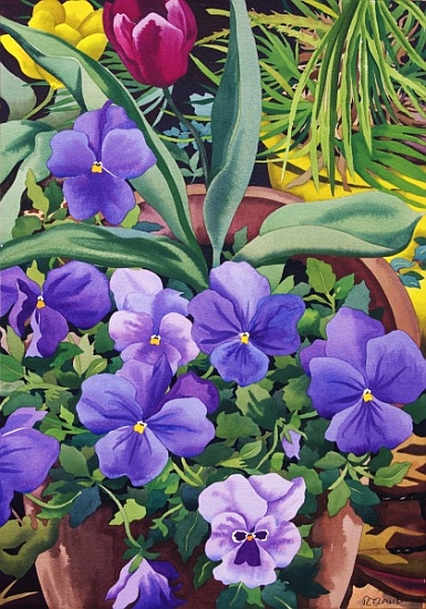 Flowerpots with Pansies von Christopher  Ryland