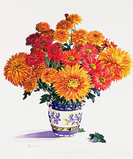 October Chrysanthemums (w/c on paper)  von Christopher  Ryland