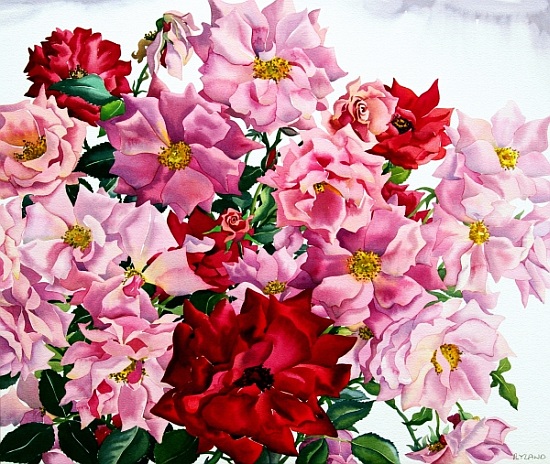 Red and Pink Roses von Christopher  Ryland