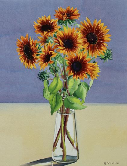 Sunflowers 2016