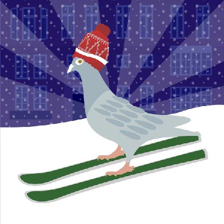 Skiing Pigeon 2017