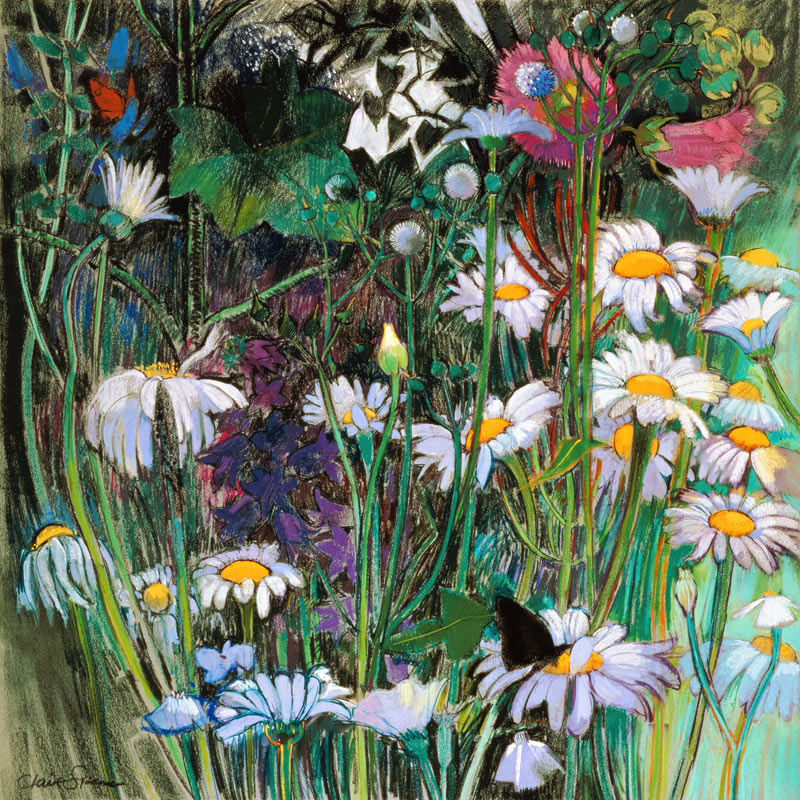 The White Garden von Claire  Spencer