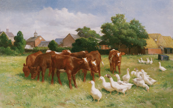 Cows and Ducks von Claude Cardon