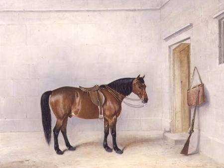 Saddled Bay Shooting Pony von Claude L. Ferneley