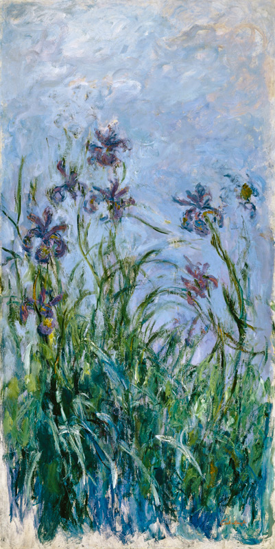 Iris Mauves von Claude Monet