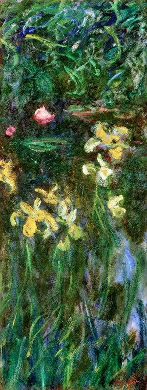 Iris jaunes. von Claude Monet
