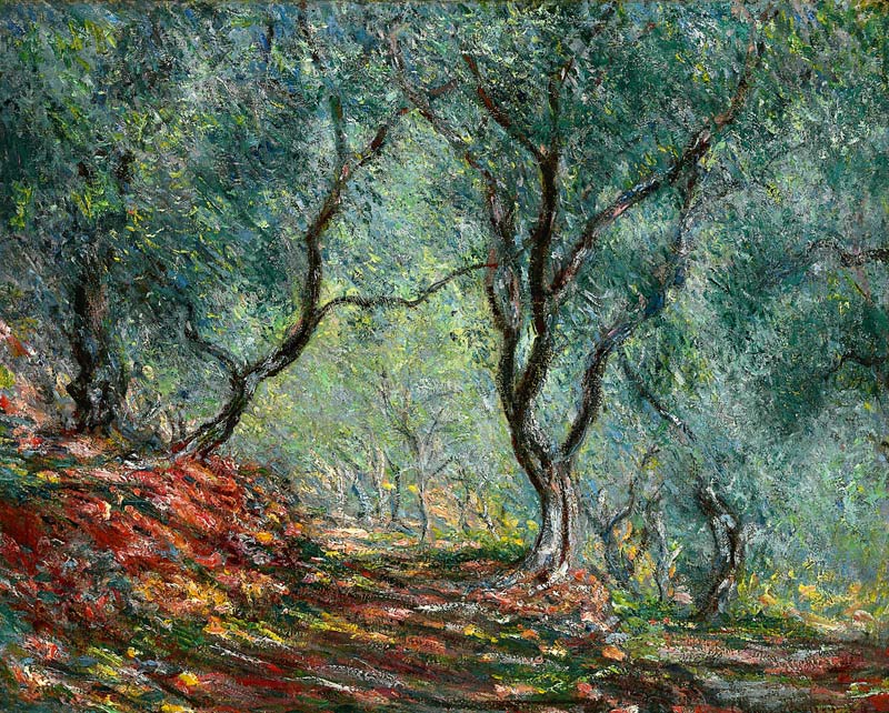 Olivenhain im Garten Moreno. von Claude Monet