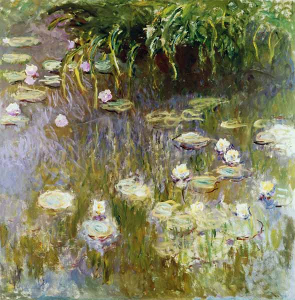 Waterlilies at Midday von Claude Monet