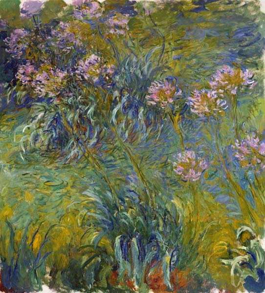 Schmucklilien von Claude Monet