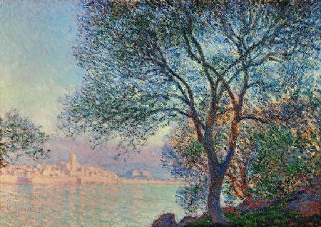 Antibes, view of the Salis 1888