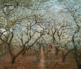 Monet / Blossoming Orchard / 1879
