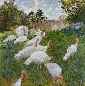 The Turkeys at the Chateau de Rottembourg, Montgeron 1877  canv