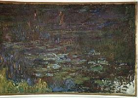 Waterlilies at Sunset, detail from the right hand side 1915-26
