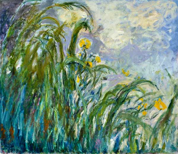 The Yellow Iris von Claude Monet