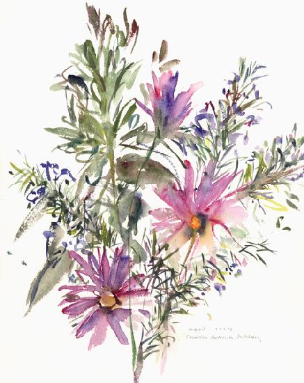 Floral, South African daisies and lavander 2004