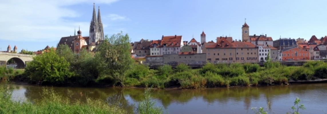 Regensburg im Panorama von Claus Lenski
