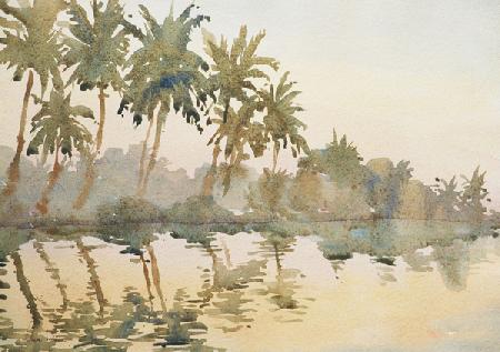 614 Dawn on the backwaters 2003