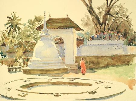 720 The Bodhi Tree, Kandy 2006