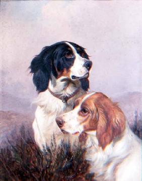 Setters on a Moor 1892