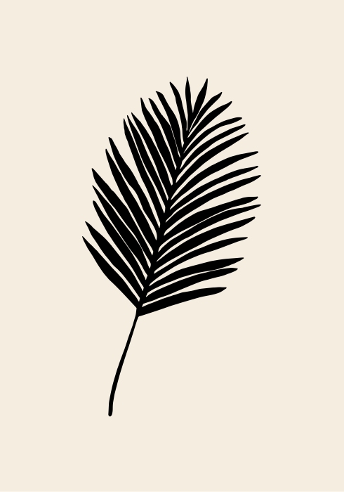 Black Palm von Graphic Collection