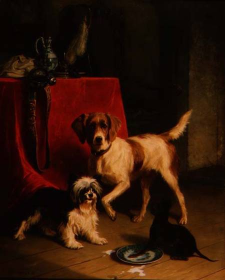 Three dogs von Conradyn Cunaeus