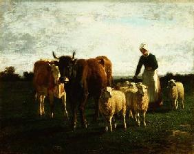 Evening, Driving Cattle 1859
