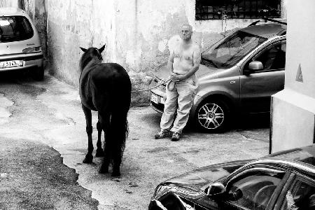 Mann mit Pferd in Palermo,Sizilien