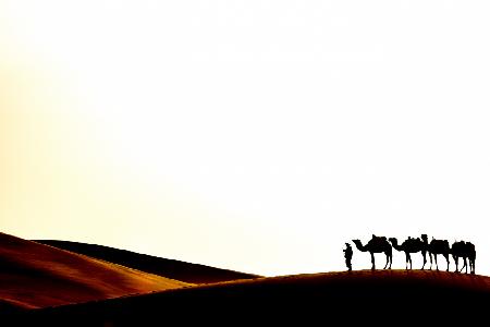 Sahara Wüste
