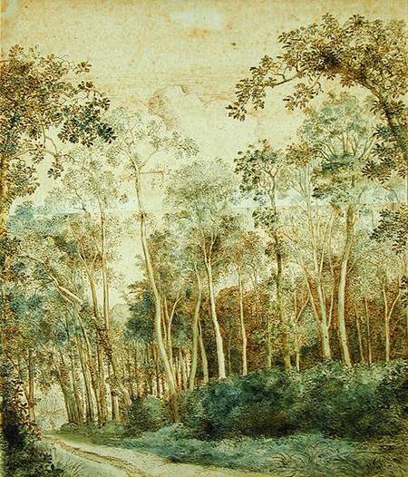 Wooded Landscape (pen and brown ink and w/c on paper) von Cornelis Vroom