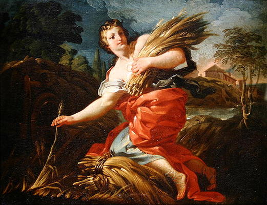 Ruth the Gleaner (oil on canvas) von Corrado Giaquinto