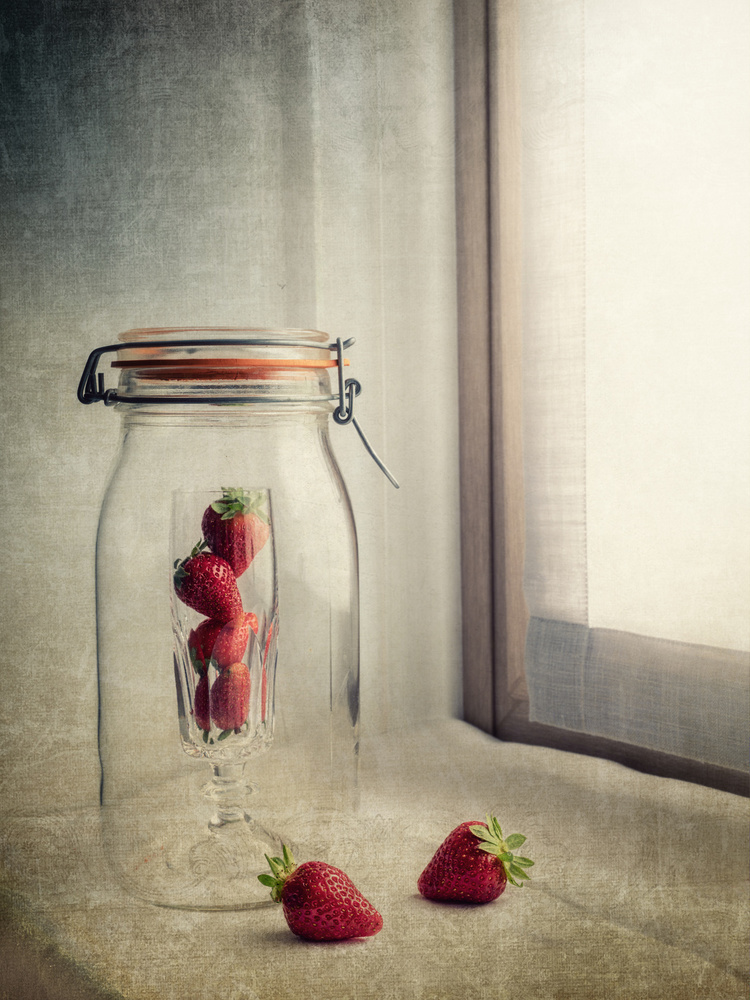 Das Rätsel der Erdbeere von Cristiano Giani