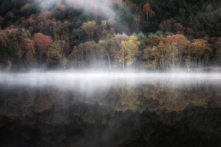 Der mystische Teich im Herbst 3