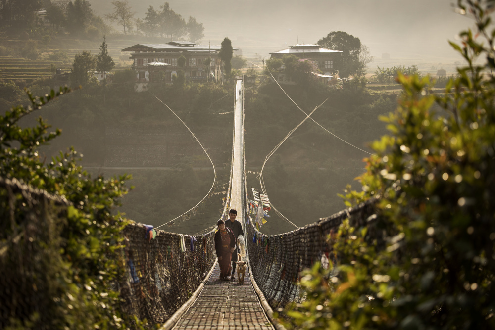 Phunakha-Brücke,Bhutan von Dan Mirica