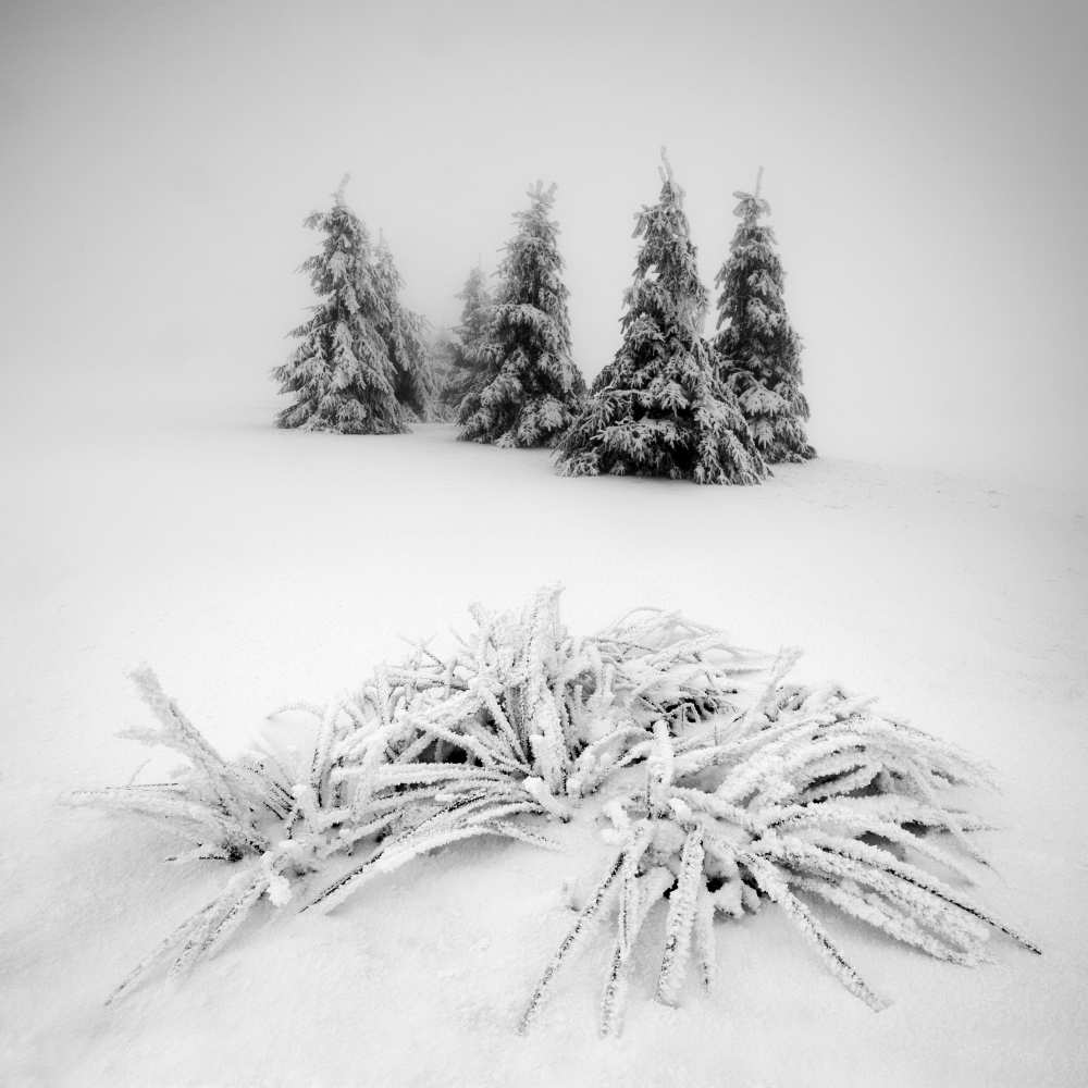 Winter scenery von Daniel Rericha