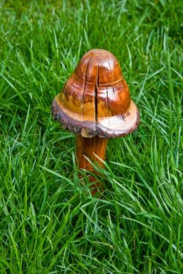Wooden Mushroom von Dave Frederick