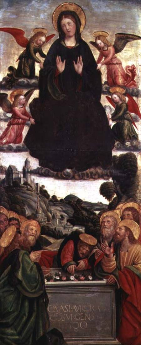 The Assumption of the Virgin (tempera on wood) von Defendente Ferrari