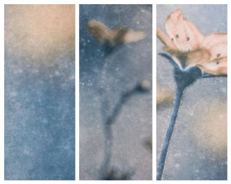 Blauer Winter (Triptychon)