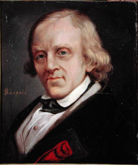 Francois Vincent Raspail (1794-1878) von Denis Bonnet
