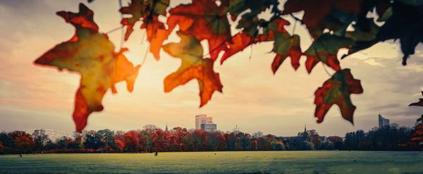 Rosental Leipzig im Herbst, Skyline von Leipzig von Dennis Wetzel