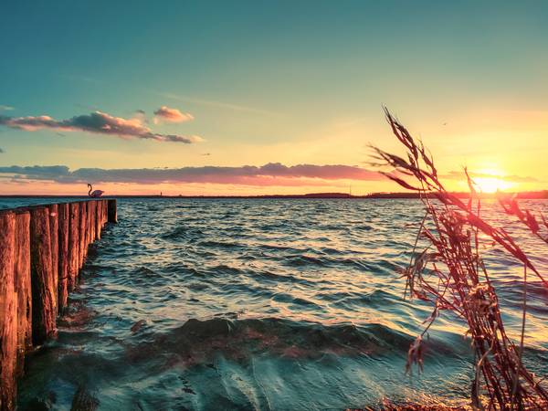 Sonnenuntergang am See mit Buhnen und Schilf von Dennis Wetzel