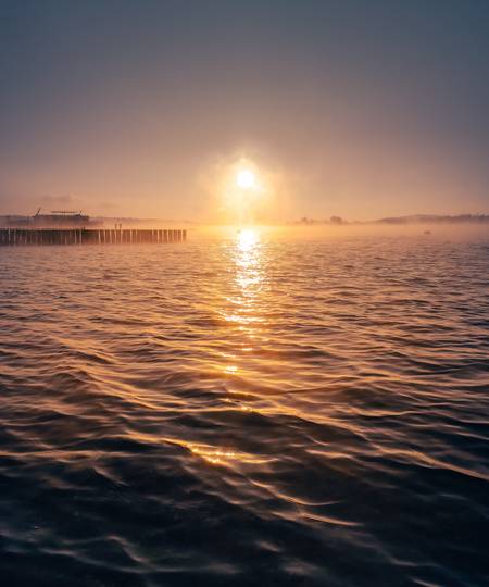 Sonnenaufgang am Markkleeberger See mit Nebel. 2022