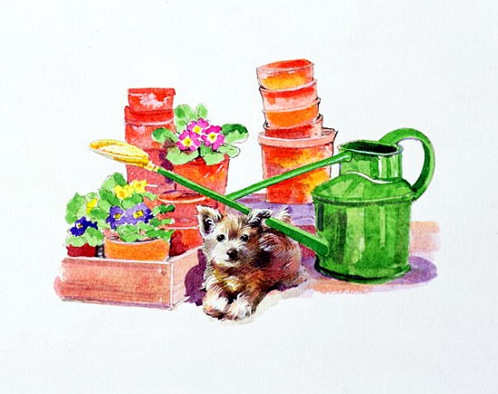 Terrier amongst Terracotta Pots  von Diane  Matthes
