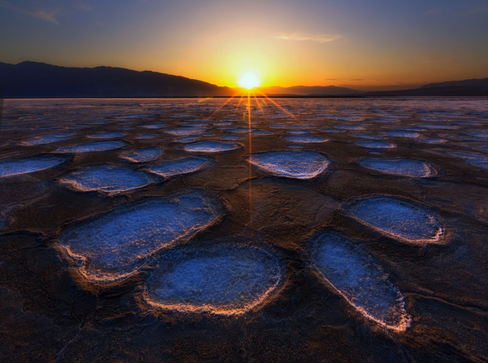 Kristallblume im Death Valley von Dianne Mao