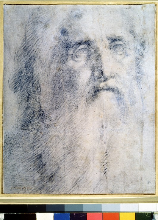 Skizze des Kopfes eines alten Mannes mit Bart von Domenico Beccafumi
