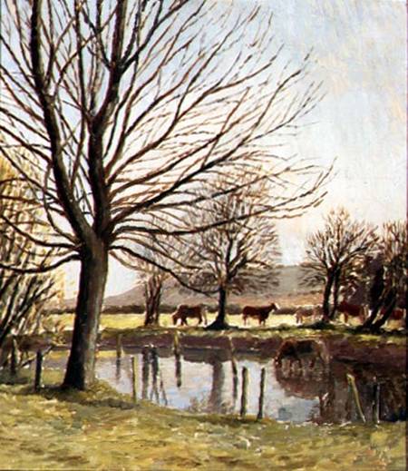 Cattle by a Pond von Dora Carrington